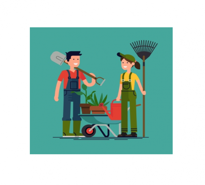 1С Садовод новое в версии